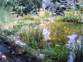 Teichlandschaft